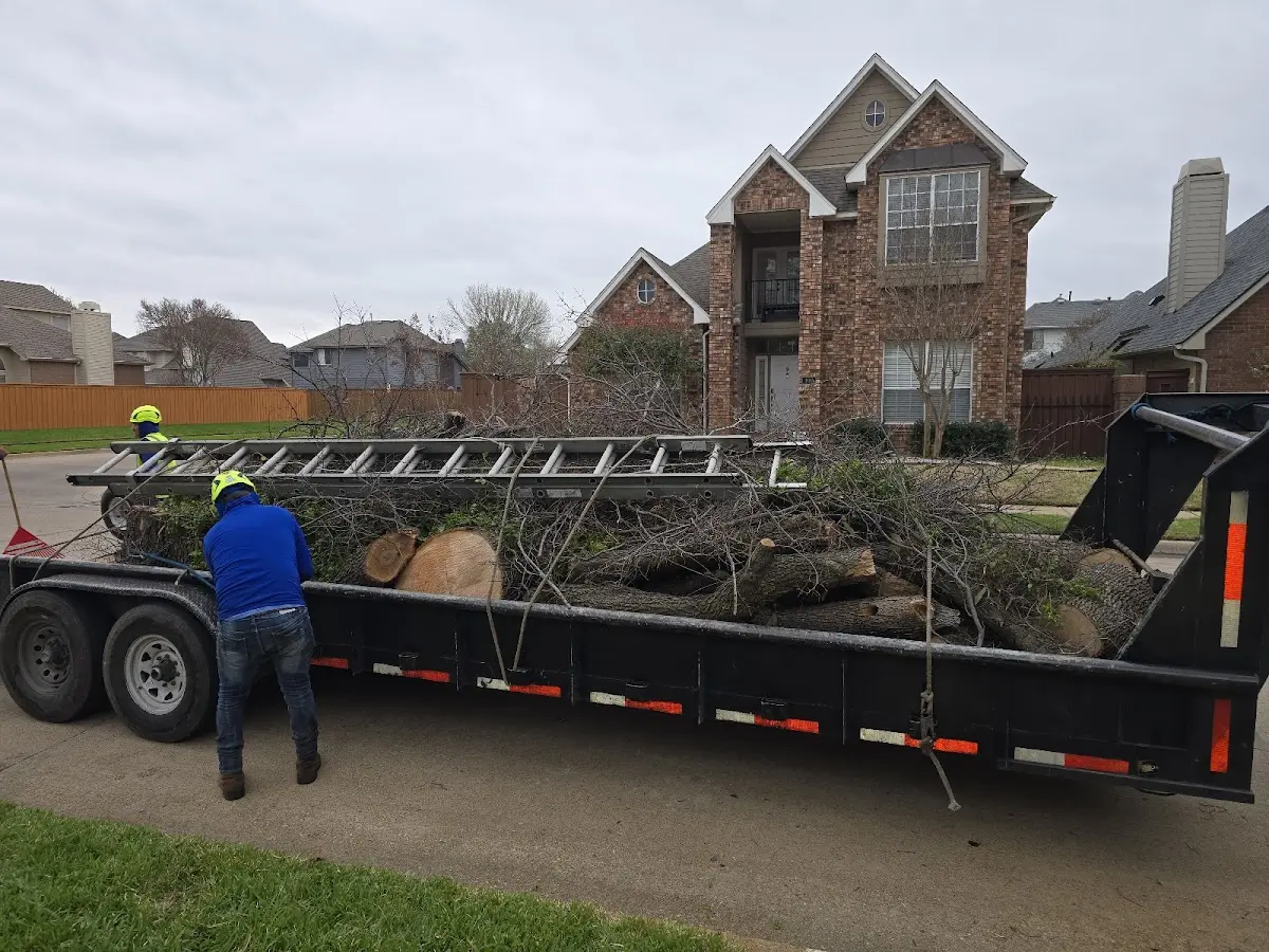 Expert Tree Fertilization with proper safety equipment in Greenbelt